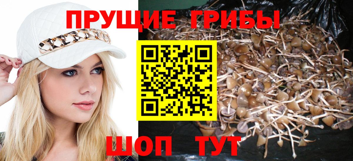 Псилоцибиновые грибы MAGIC MUSHROOMS  Галлюциногенные грибы мицелий  Вход с VPN  где можно купить   Мурманск 